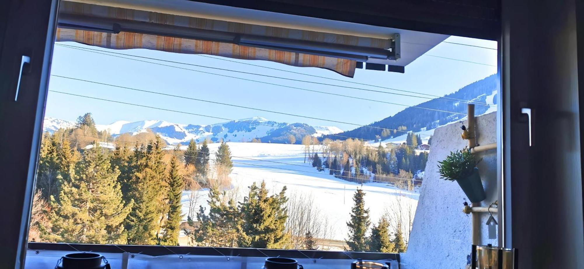 Maria Alm - Cozy & Modern Apartment Mountain View Saalfelden Dış mekan fotoğraf